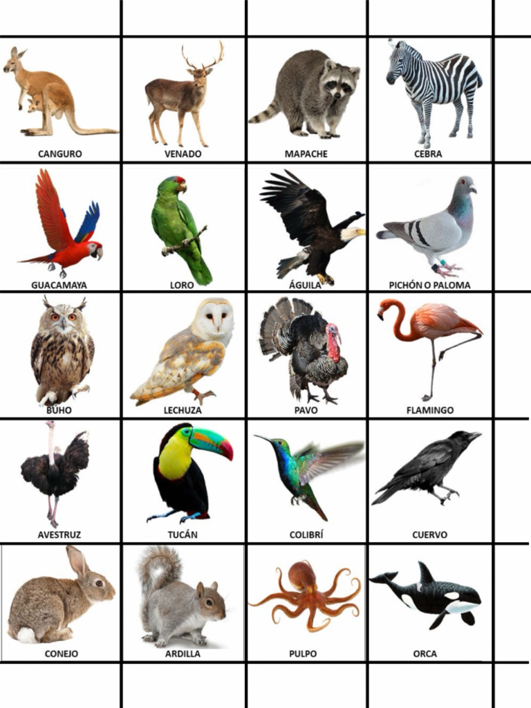 Animales 3 | PDF