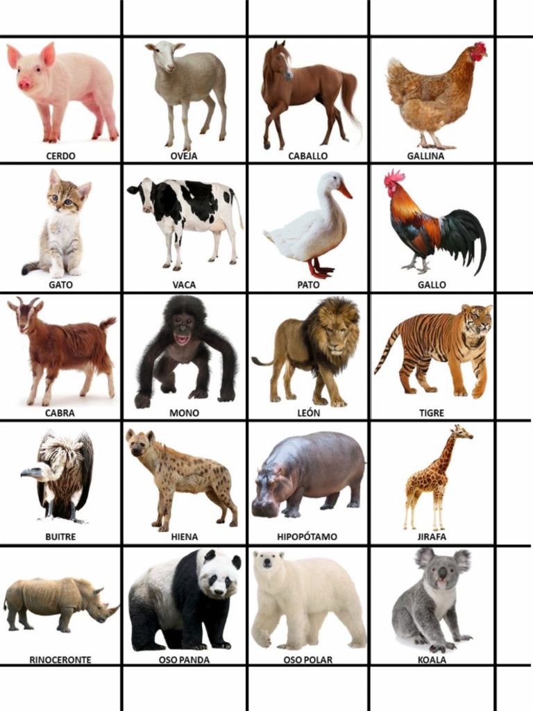 Animales 1 | PDF