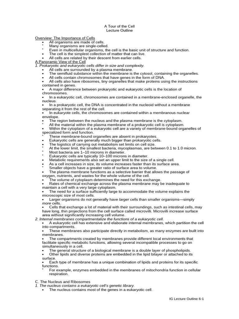 Understanding Cell Structure and Function | PDF | Endoplasmic Reticulum ...