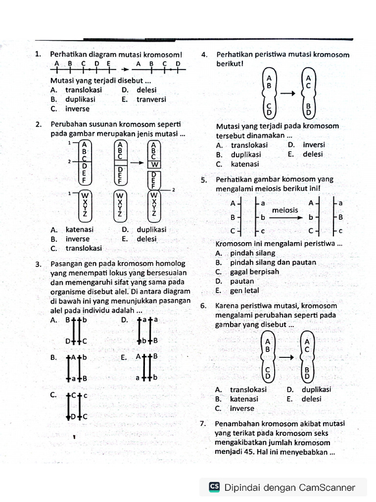 Anna Kovalchukning yalangoch mushuki