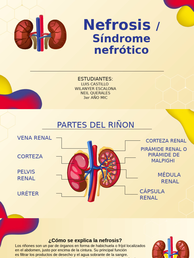 Nef Rosis | PDF