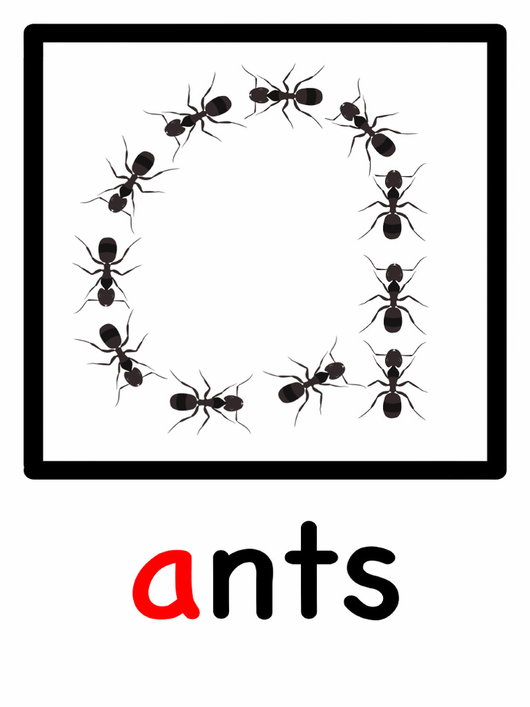 Embedded Picture Mnemonics PDF