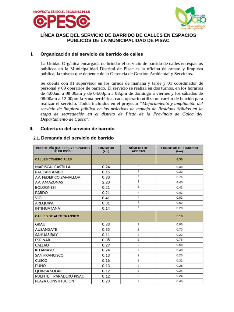 Formato Linea Base Barrido de RRSS | PDF