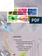 Nematodes - Teaching Demo