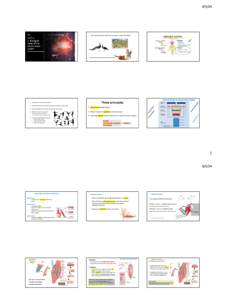 1.2 Sensorimotor System | PDF
