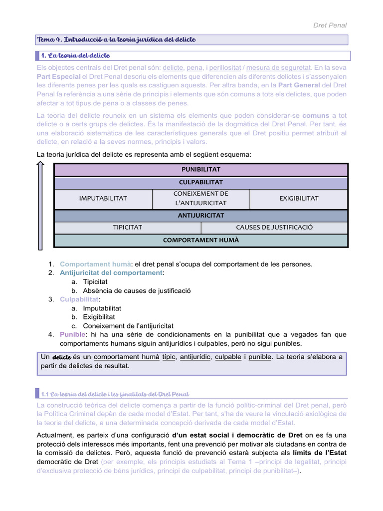 Tema 4 Penal Pdf
