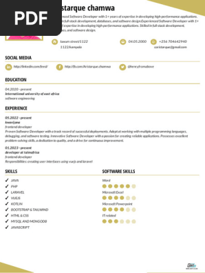 Best CV
