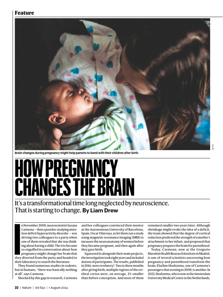 How Pregnancy Changes The Brain: Feature | PDF