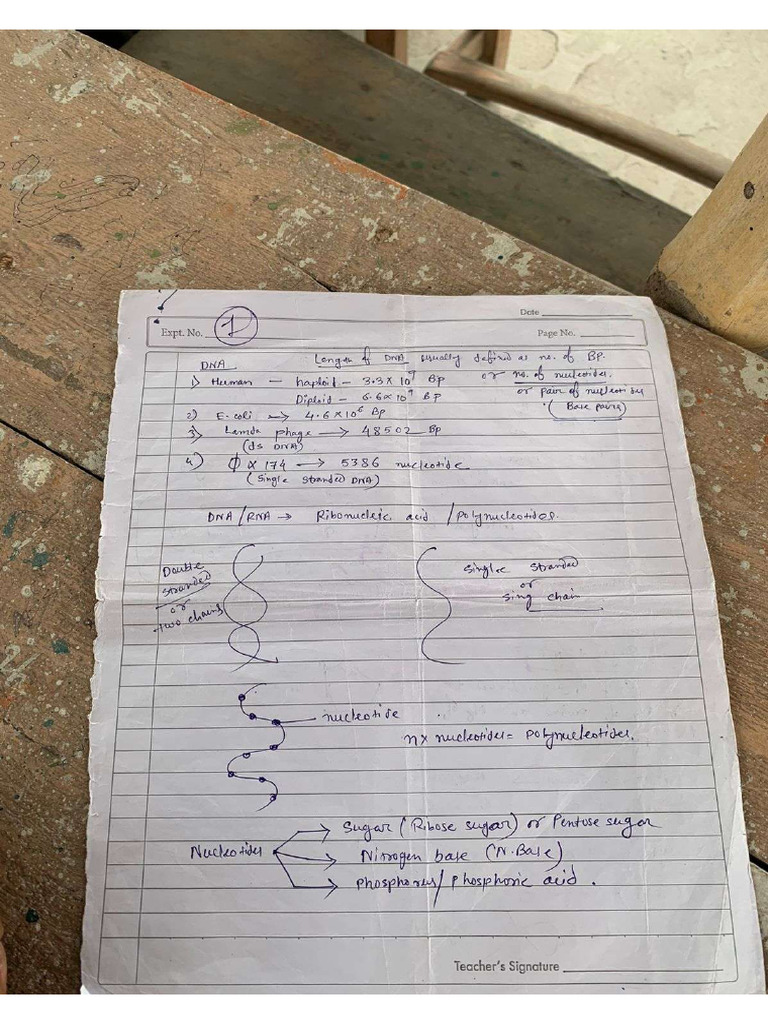 Bio Notes Tution | PDF