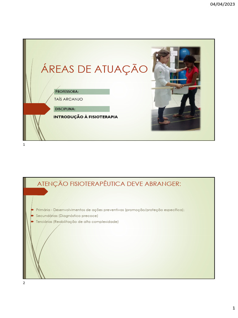 Areas de Atuação | PDF