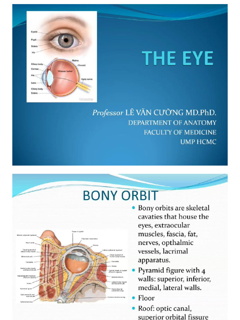 8.1 The Eye | PDF