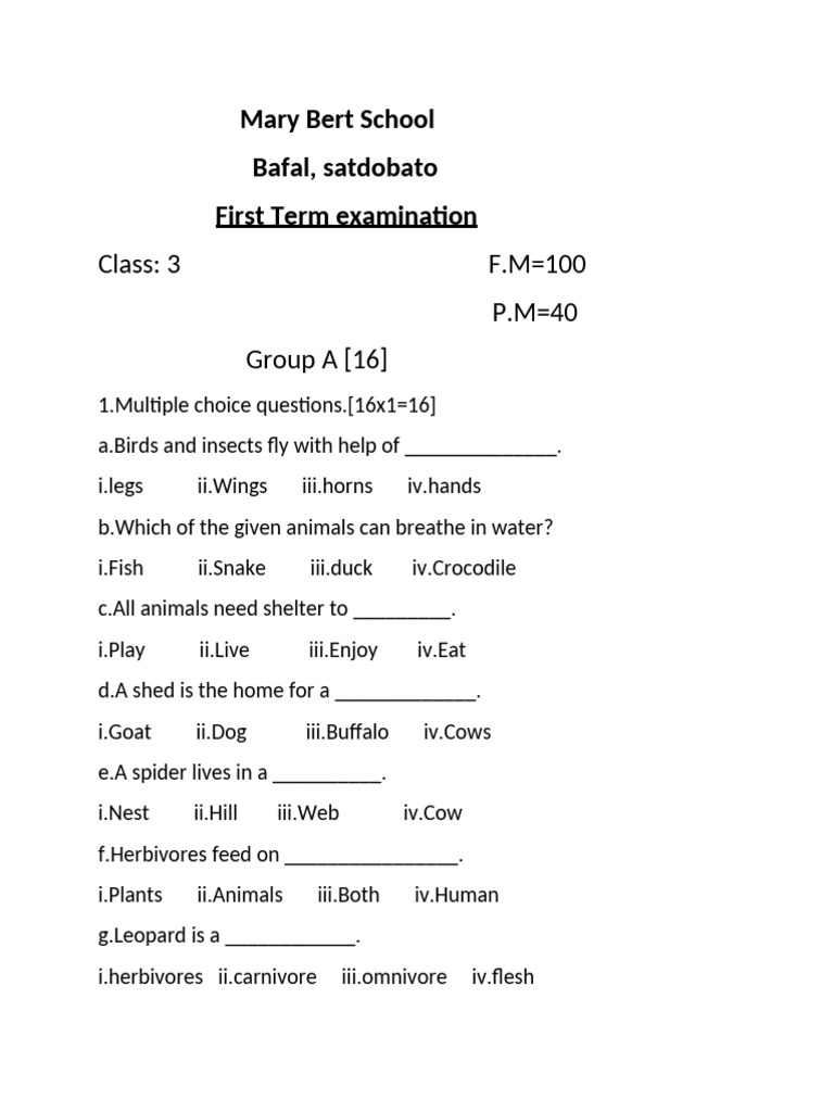 Class 3 First Term Exam | PDF