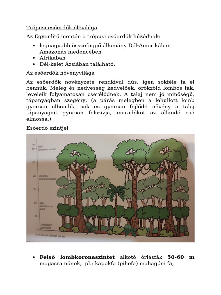 tr-pusi-es-erd-k-l-vil-ga-pdf