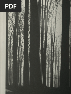 A Magazine Curated by Veronique Branquinho-1 | PDF