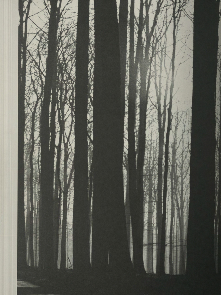 A Magazine Curated by Veronique Branquinho-1 | PDF