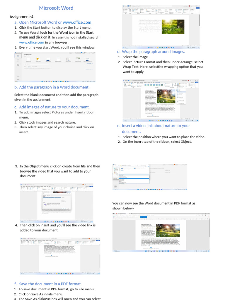 MS Word Solutions A 4 | PDF