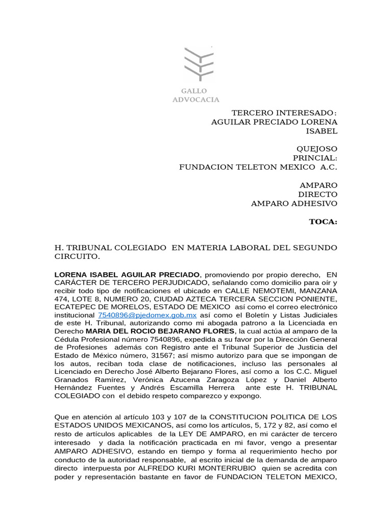 Amparo Adhesivo en Caso Laboral | PDF | Caso de ley | Política