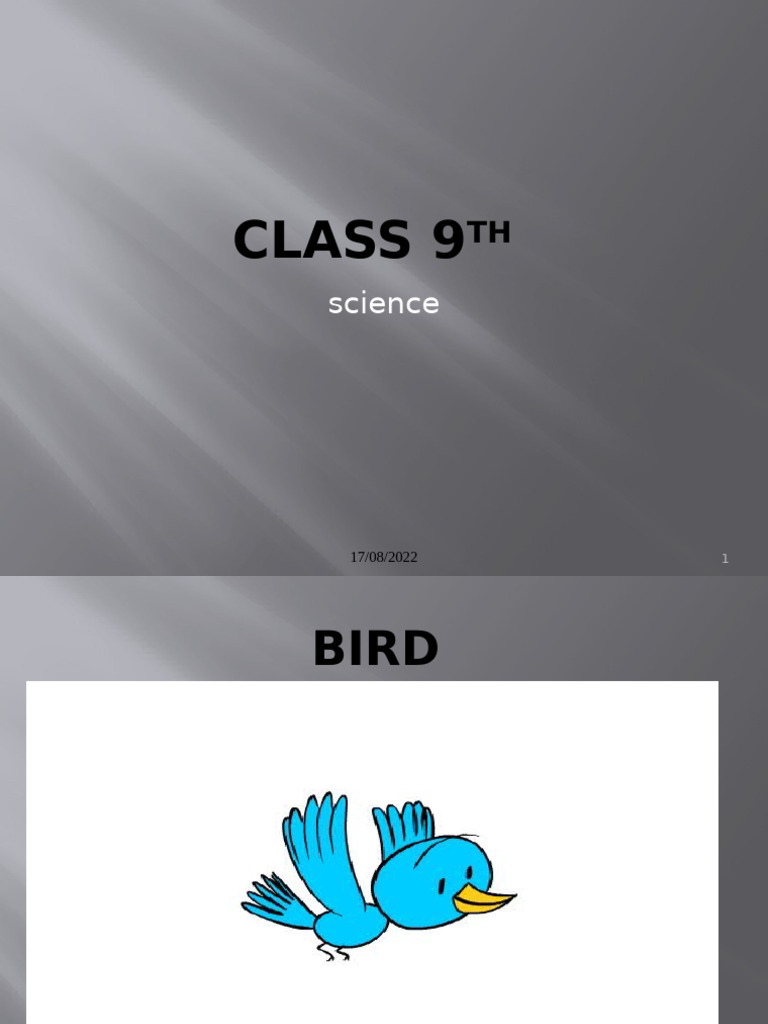 class-9th-motion-eample-pdf