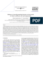 Influence of Growth-Promoting Bacteria On The Growth of Wheat in Different Soils and Temperatures