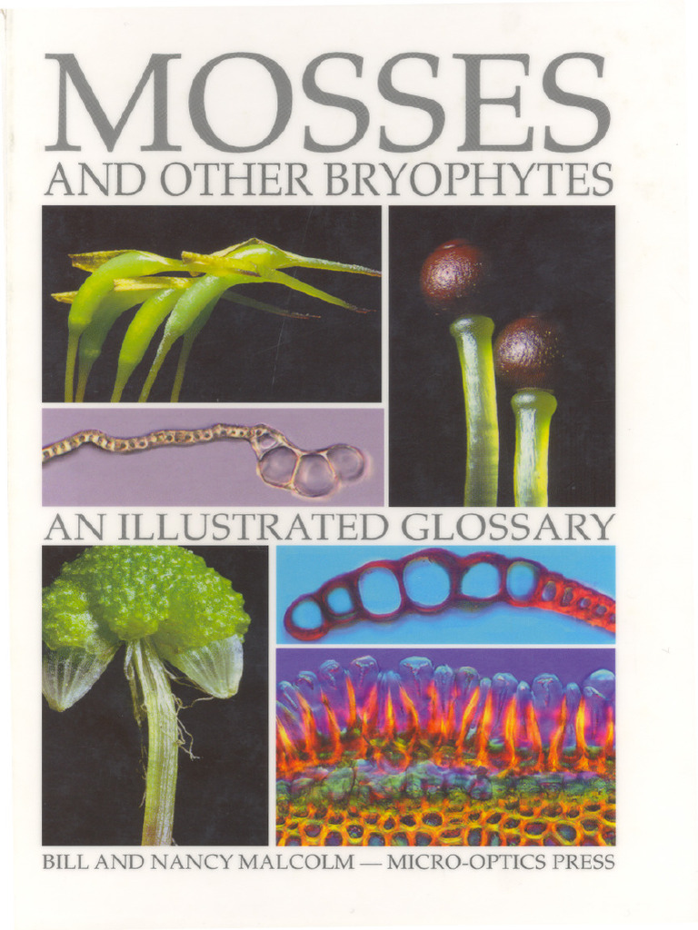 Malcoms - Moss and Other Bryophytes | PDF