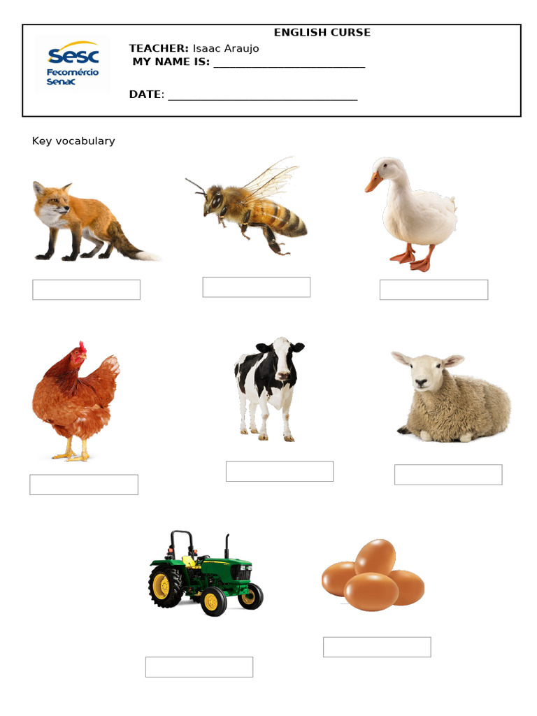 AT THE FARM - Key Vocabulary | PDF