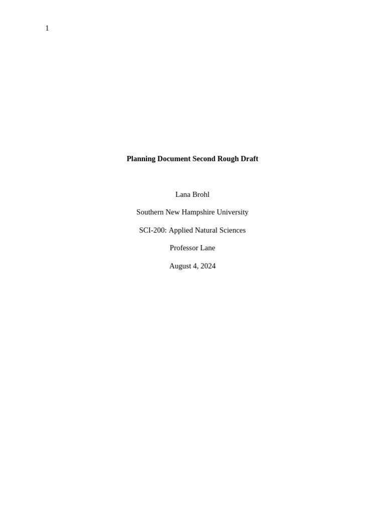 Planning Document Second Rough Draft | PDF
