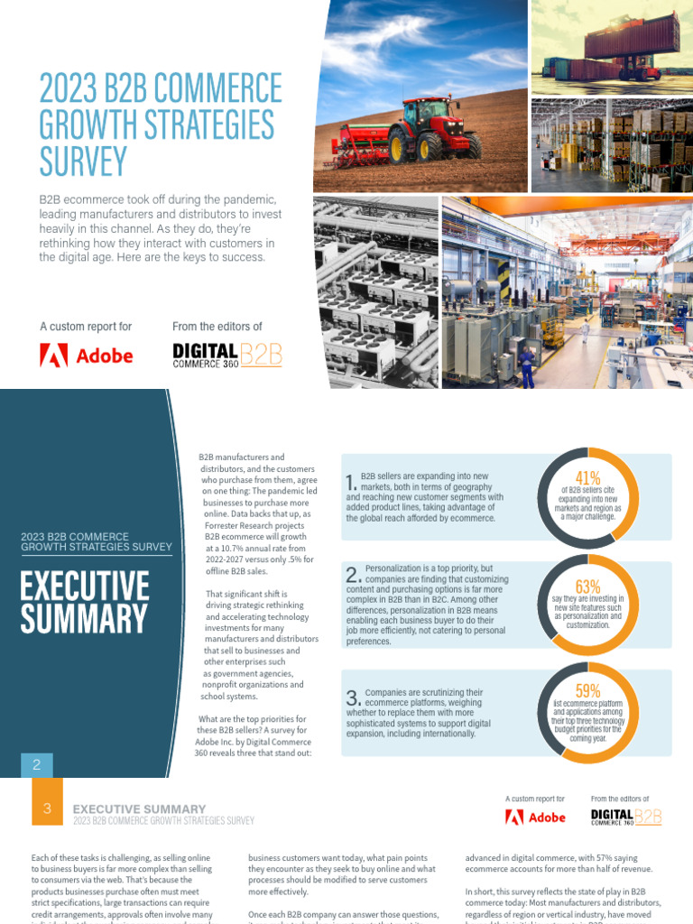 B2B Ecommerce Growth Strategies 2023 | PDF | E Commerce | Computers