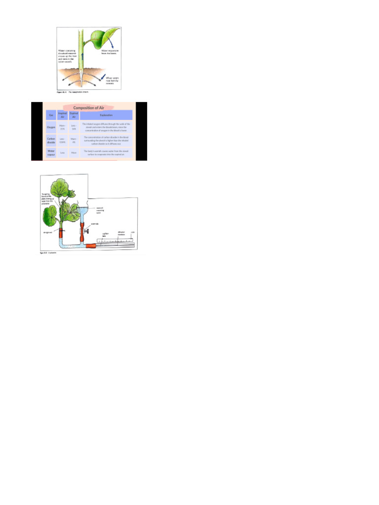 Random Biology | PDF