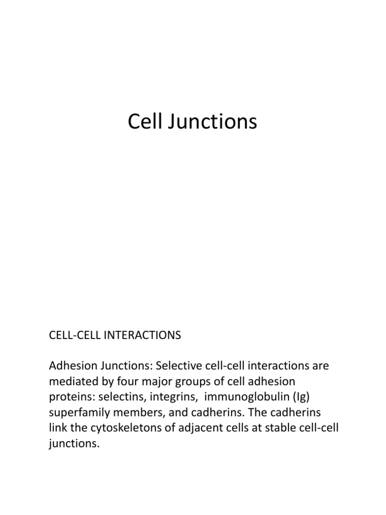 Cell Junction | PDF | Science & Mathematics