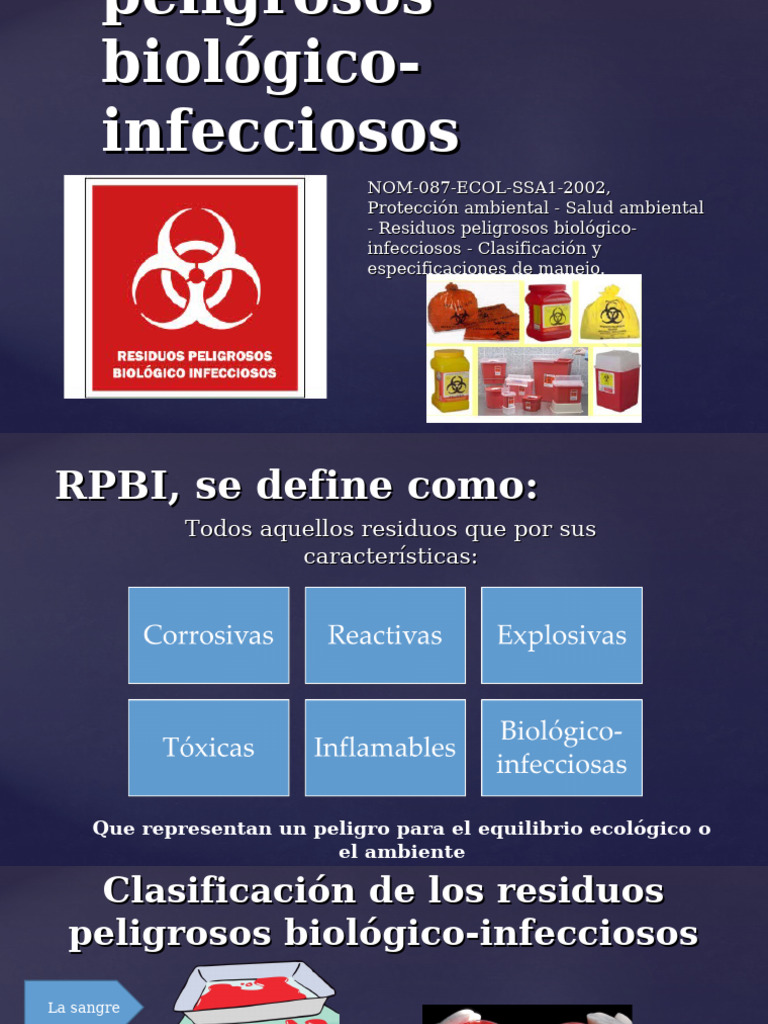 2024 RPBI Presentación | PDF