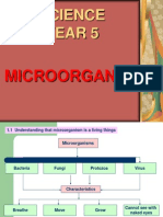 Science Year 5: Microorganisms