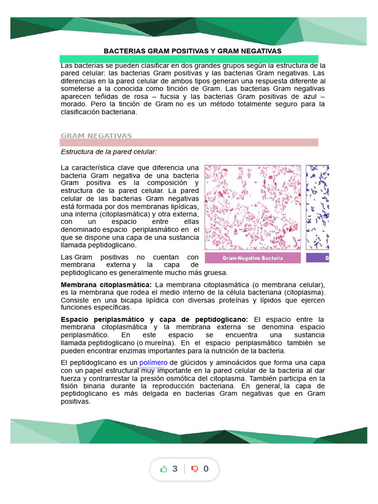 Bacterias Gram Positivas y Gram Negativas - Compress | PDF | Bacterias ...
