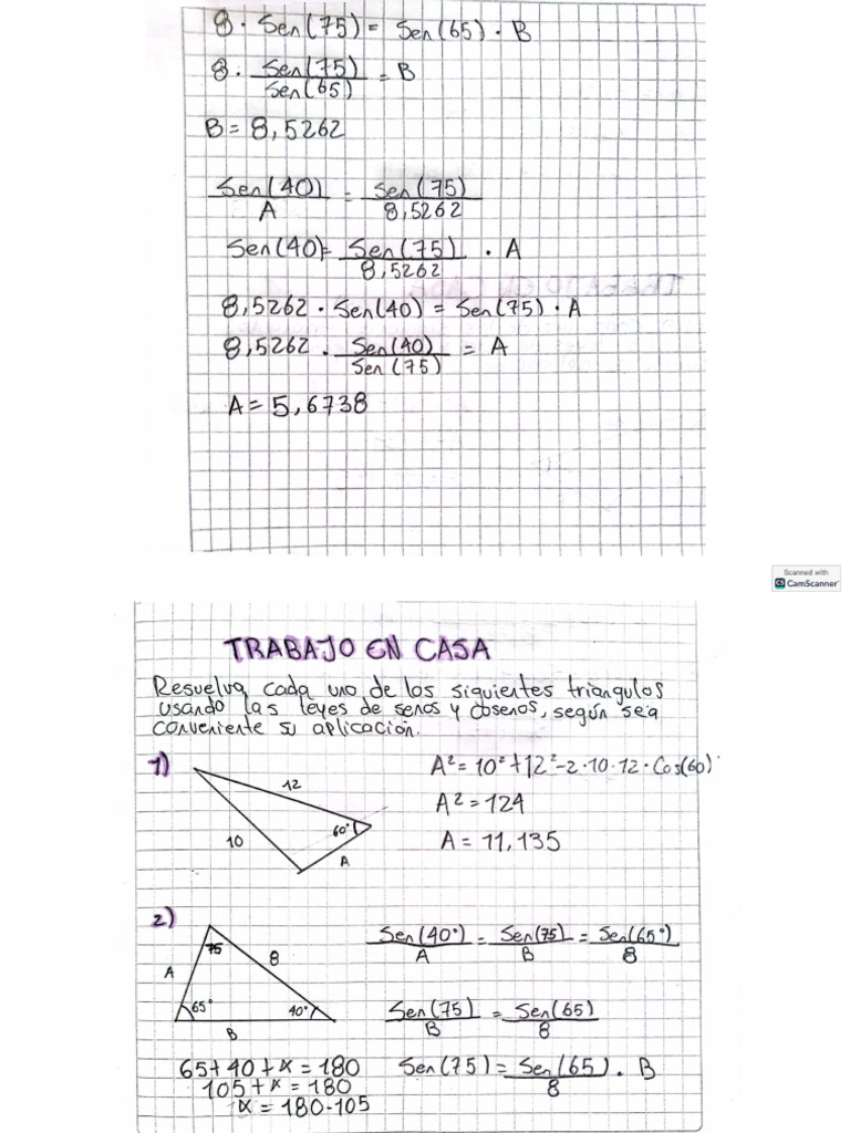 Ley de Senos y Cosenos PDF
