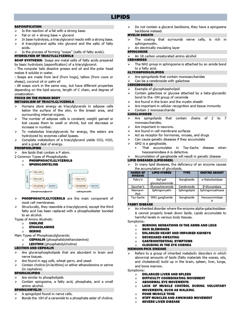 BIOCHEM Notes | PDF