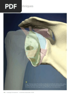 Download Frozen Shoulder Part I The Glenohumeral Joint Myofascial Techniques by Advanced-Trainingscom SN76595673 doc pdf