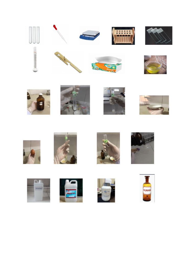 Gambar Uji Protein Pdf