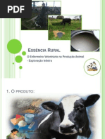 O E.V. na Exploração Leiteira