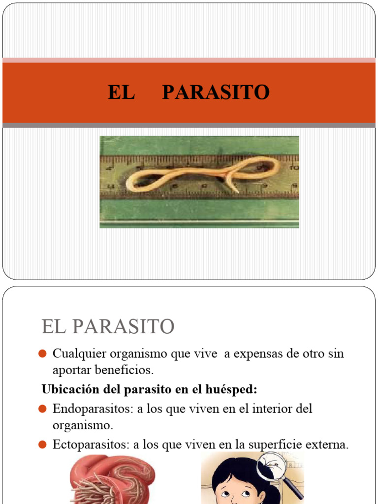 El Parasito | PDF