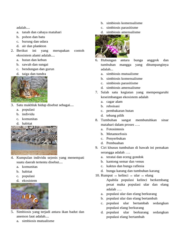 Menjelajahi Kehidupan dalam Ekosistem: Latihan Soal IPA Kelas 5 SD Subtema 3