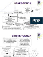 Bio Energetic A