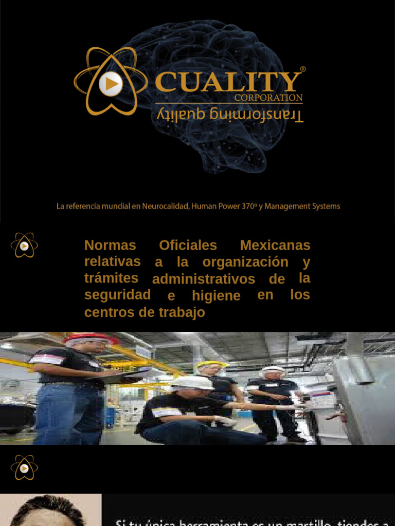 Nom 019 STPS | PDF