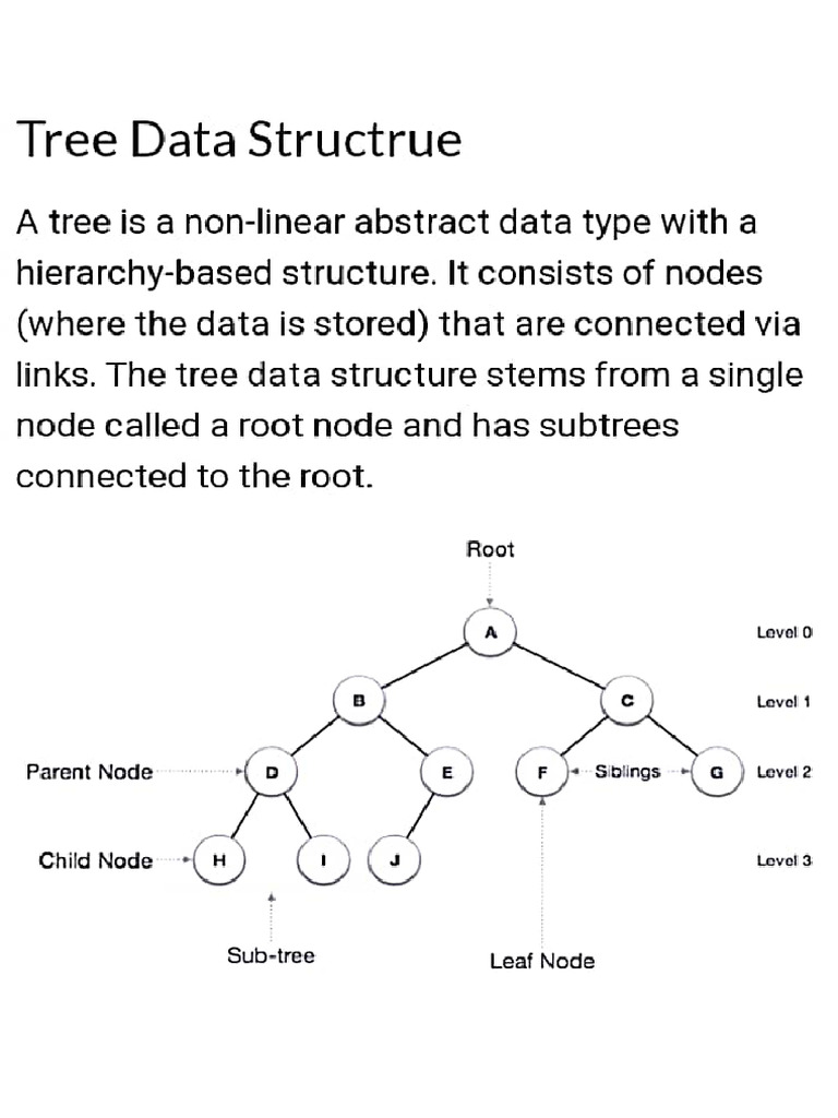 Tree Data Structure | PDF