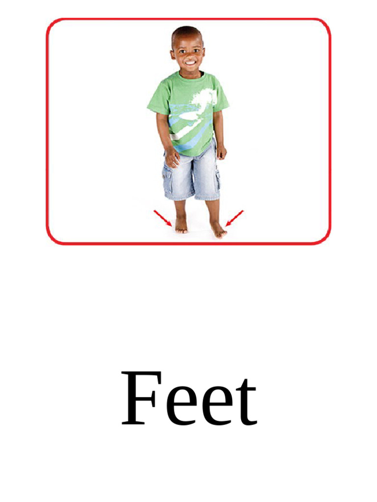 Flashcards big fun 1 pdf