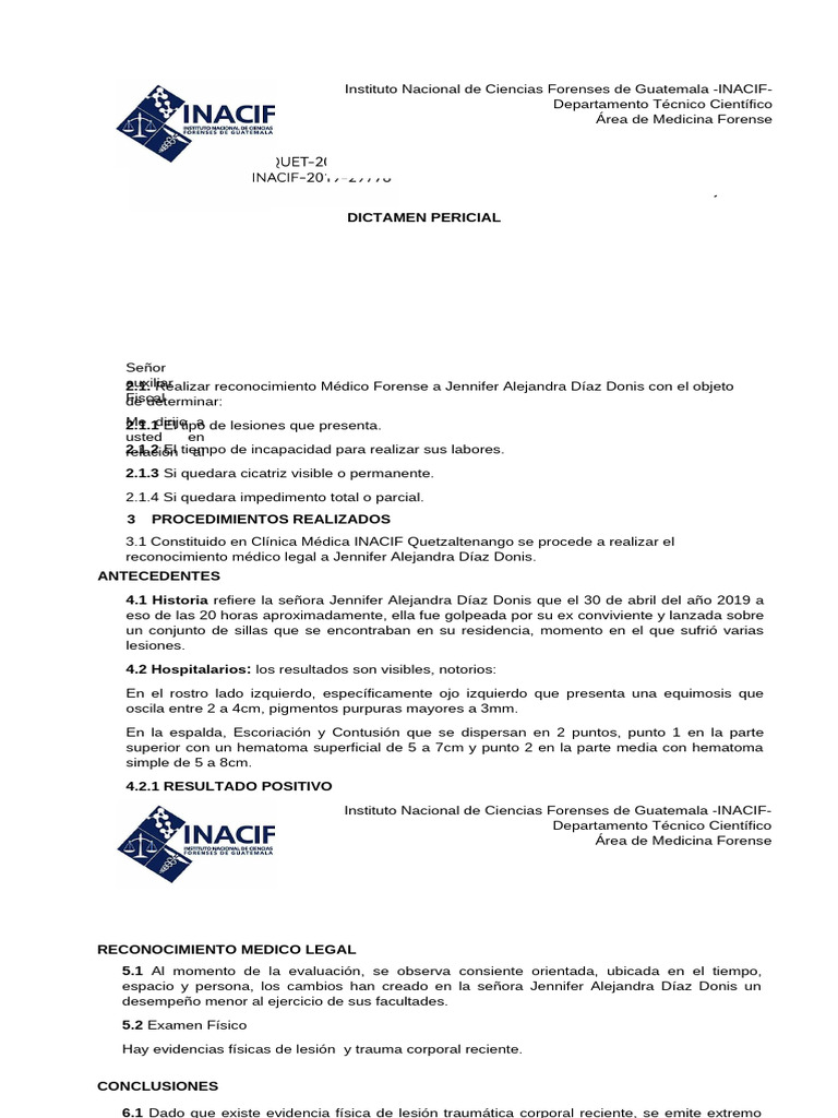 4 1 Dictamen INACIF | PDF