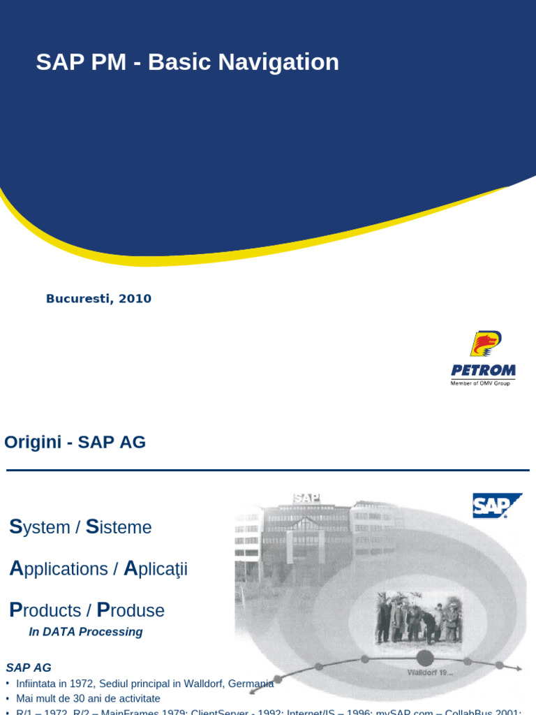 Prezentare Generala SAP | PDF