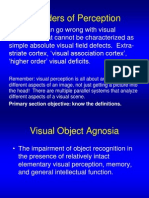 Disorders of Perception: Primary Section Objective: Know The Definitions