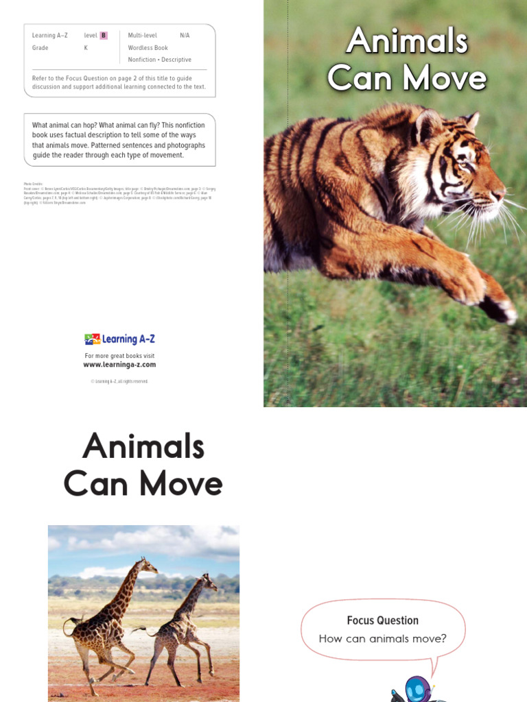 Raz lb18wb Animalscanmove | PDF