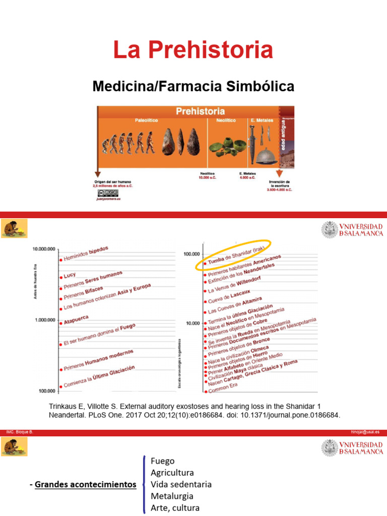 Tema 1 Prehistoria Alumnos Pdf