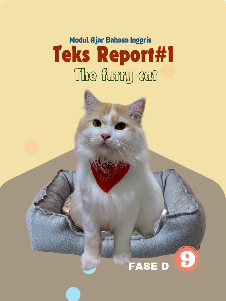 Teks Report Kucing dalam Bahasa Inggris | PDF