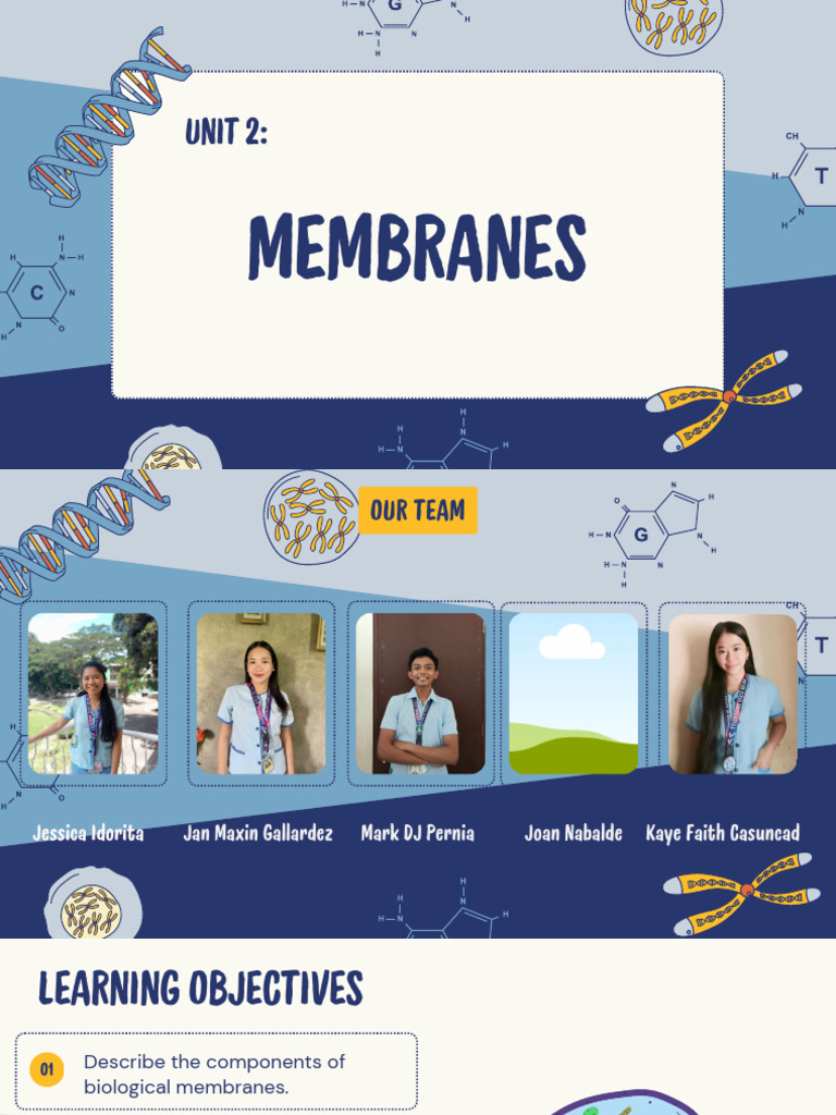 Green Illustrated Science Project Presentation | PDF